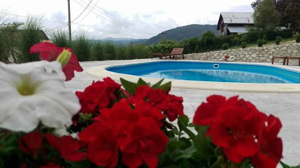 Pensiunea Casa Mircea & Restaurant Ешелница Экстерьер фото