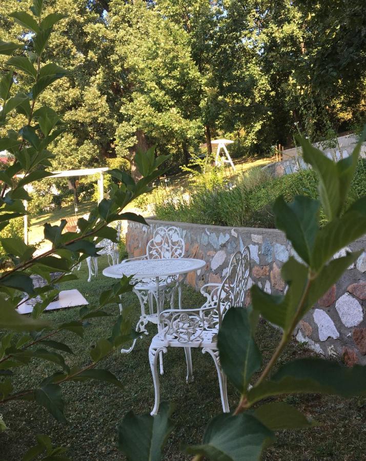 Pensiunea Casa Mircea & Restaurant Ешелница Экстерьер фото